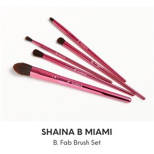Makeup brush set (SHAINA B MIAMI)
